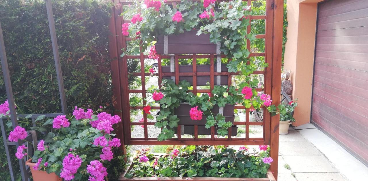 Apartmany U Jirousu Rokytnice nad Jizerou Ngoại thất bức ảnh